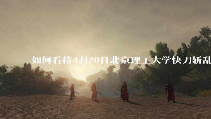 如何看待4月20日北京理工大学快刀斩乱麻处理“宫琳***”的做法？